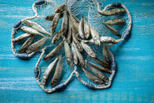 Load image into Gallery viewer, Fish Crispies for Dogs - Bulk