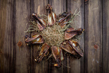 Load image into Gallery viewer, Roo Wings - Bulk
