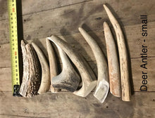 Load image into Gallery viewer, Deer Antlers - Bulk
