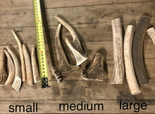 Load image into Gallery viewer, Deer Antlers - Bulk
